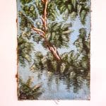 Paire de tableaux anciens – Oiseaux tropicaux – Italie, circa 1950 anciellitude