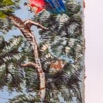 Paire de tableaux anciens – Oiseaux tropicaux – Italie, circa 1950 anciellitude