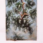 Paire de tableaux anciens – Oiseaux tropicaux – Italie, circa 1950 anciellitude