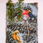 Paire de tableaux anciens – Oiseaux tropicaux – Italie, circa 1950 anciellitude